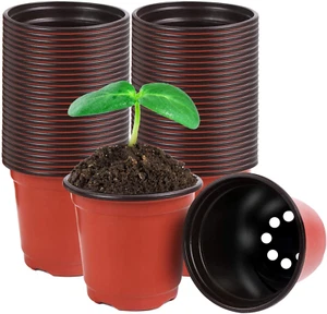 40 Plastic Plant Pots, 4" Nursery Seedling Containers for Succulent Transplant - Picture 1 of 7