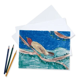 Carta da disegno Pacon solfito bianco 18"x24" peso med P4718 - 50 fogli/ordine - Foto 1 di 2