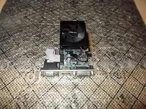 PNY Nvidia GeForce GT 730 2GB PCI-E X8 Video Card HDMI VCGGT7302D36LXPB-BB - Picture 1 of 1