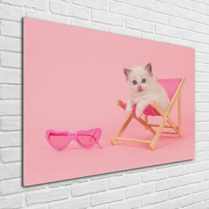 Glas-Bild Wandbilder Druck auf Glas 100x70 Deko Tiere Katze Liegestuhl - Bild 1 von 6
