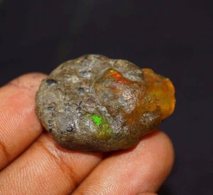 EGL Certified 37.40 Natural Ethiopian Black Opal Welo Fire Rough Loose Gemstone - Picture 1 of 6