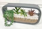 Large Decorative Succulents 3 Faux Succulents Plants Artificial Cross Section