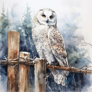 Watercolor Snowy Owl Art Print Painting 8x11 inch Giclee Animal Art - Picture 1 of 1