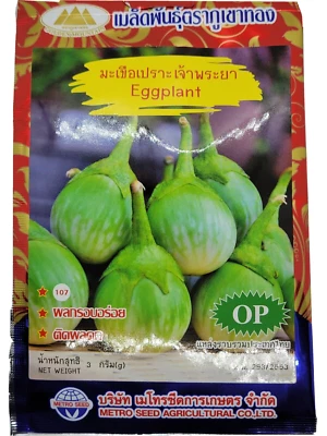Thai Chao Praya Eggplant Seeds - Image 1 of 3