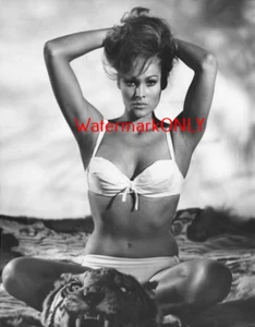 Gorgeous Actress "Bond Girl" "Ursula Andress" Beautiful "Pin-Up" PHOTO! #(13) - Picture 1 of 2