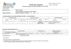 VISURA CATASTALE, VISURE CATASTALI, SERVIZI CATASTALI: INVIO RAPIDO TRAMITE MAIL - Foto 1 di 1