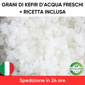 Grani di kefir d'acqua con ricetta e consigli inclus (30g) - Foto 1 di 2