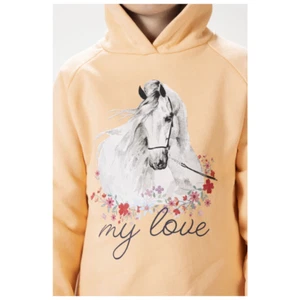 HKM Horse Spirit Hoodie - Picture 1 of 4