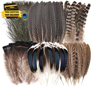 Natural Feathers Bulk - 55PCS - 6 Styles Assorted Natural Feathers, Peacock Feat - Picture 1 of 6