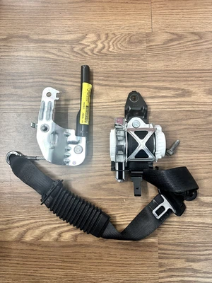 Cinturón de seguridad trasero derecho Ford F150 2015-2020 NOM-119-SCFI-2000 OEM Foto 1 de 4