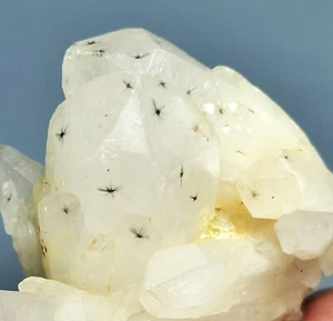 RARO Quarzo Stella Hollandite Naturale CRISTALLO Punta e Capelli Trapiche - Foto 1 di 11