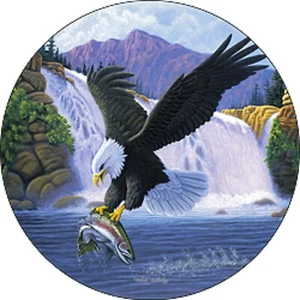 Eagle #8 Catching Trout Spare Tire Cover All Sizes-back up camera option - Picture 1 of 5