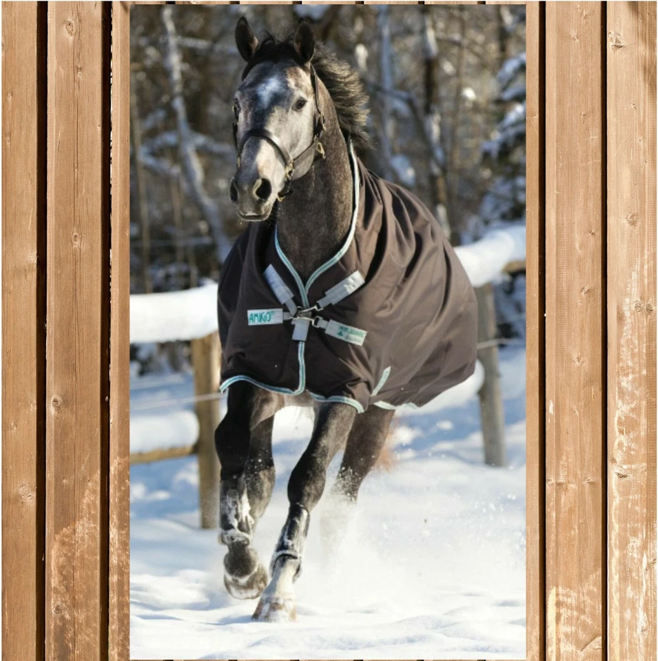 Horseware Amigo Bravo Wug medium, Bravo Wug 250g, hoher Hals, excalibur/ green - Bild 1 von 1