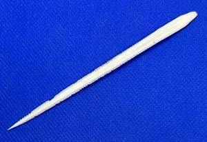 4 1/2"" STINGRAY BARB SHARP NAUTISCH Stachelstrahl Strandtaucher Meerjungfrau Speertauchen - Bild 1 von 2