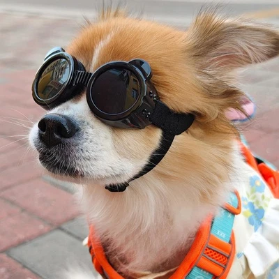 Gafas de sol de protección solar UV a prueba de viento para perros pequeños medianos Foto 1 de 4