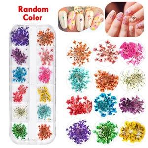 3D Mixed Dried Dry Flowers Nail Art Decoration Design DIY Tips Manicure with Box - Picture 1 of 8