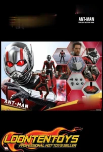Hot Toys 1/6 MMS497 – Ant-Man and the Wasp – Ant-Man IN STOCK - Picture 1 of 5