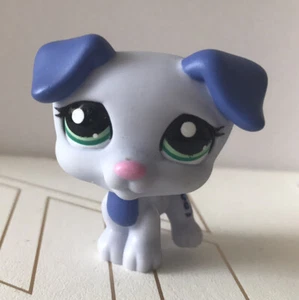 AUTHENTIC Littlest Pet Shop Blue Teal Jack Russel Dog #2301 LPS (Blue Eyes) - Picture 1 of 3