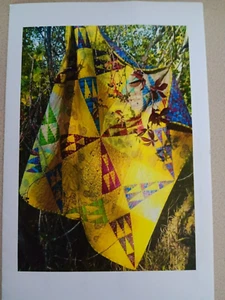 Aardvark Quilts Pattern AQ866 Spires 47" x 47" Pieced Patchwork - Picture 1 of 2
