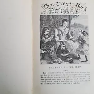The First Book of Botany Student Hands On Exercises Naturalist Ecology Plants - Imagen 1 de 13