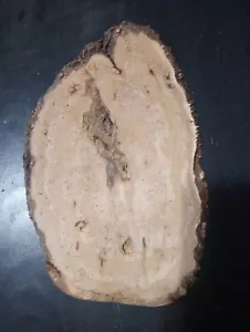 S-1081 Thin Black Cherry Burl Slab 10"x6"x1/2" - Picture 1 of 2