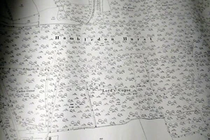 Ordnance Survey Map - Year: 1916 - SURREY 38-15 - Inc. Hambledon Hurst (06) - Picture 1 of 5