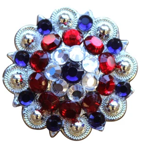 Cabezal HS 1.5" Hilason Estilo Occidental Plateado Bayas Estrás Bling Tack - Imagen 1 de 4