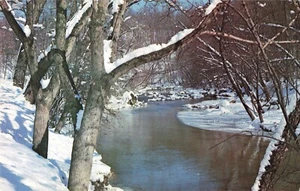 Escena pacífica de invierno, arroyo rocoso cubierto de nieve y árboles, postal vintage - Imagen 1 de 2