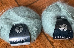 2 MADEJAS Lana Grossa PELO DE SEDA SUPER NIÑO MOHAIR HILO DE SEDA Verde Pálido TOTAL 50 gramos - Imagen 1 de 4