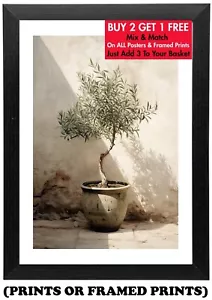 Olive Tree In Courtyard Poster - Plant Wall Art Print - A5 A4 A3 #184 - Picture 1 of 17
