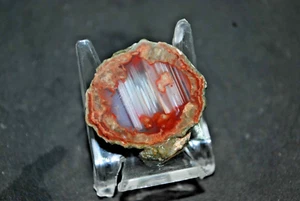 AGATES DE FRÉJUS ( VAR ) LITHOPHYSES DE L'ESTEREL - Imagen 1 de 5