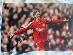 Fernando Torres Hand Signed Liverpool 12x8 Photo + Verified COA Spain World Cup - Picture 1 of 2