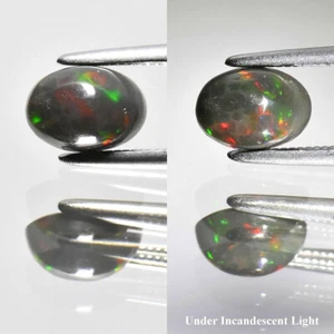 ★★ RARE !! OPALE NOIRE ET MULTICOLORE D'ETHIOPIE : 7 mm x 5 mm ★★ P485.129t - Imagen 1 de 1