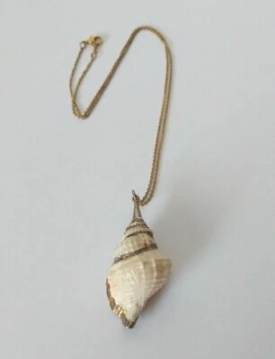 Vintage Avon Conch Shell With Gilded Gold Ribbon Edging Real Conch Shell  - Image 1 of 4