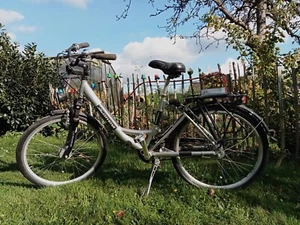 Damen Fahrrad - 7-Gang, gebraucht - Nähe Lüneburg oder aus Winsen/Aller möglich - Bild 1 von 9