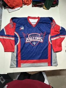 Dayton Falcons Hockey Jersey XL - Picture 1 of 7