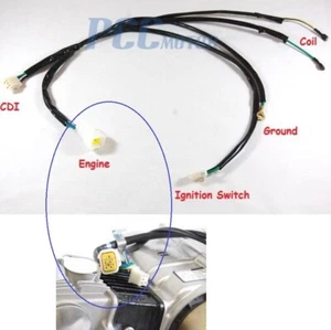 ARNÉS DE CABLEADO DEL MOTOR CON ENCHUFE AMARILLO PIT DIRT BIKES COOLSTER I WH01P - Imagen 1 de 1