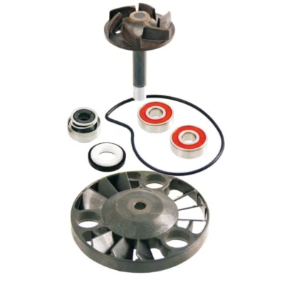 Kit revisione pompa acqua - h2o per Piaggio Gilera Malaguti o.r. 841333 - Imagen 1 de 4