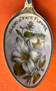 RARA E FANTASIA CIOTOLA SMALTATA IDAHO FIORE DI STATO ARGENTO STERLING CUCCHIAIO SOUVENIR - Foto 1 di 7