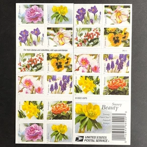 USA 2022 Stamps MNH Booklet Forever Snowy Beauty Flowers Block Sheet of 20 US . - Picture 1 of 8