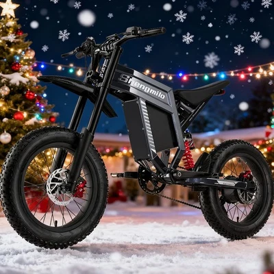 Bicicleta Eléctrica 20" Fat Tire 1500W 60V30AH Bicicleta de Montaña E-Bike E-Motocycle 65km/h Foto 1 de 4