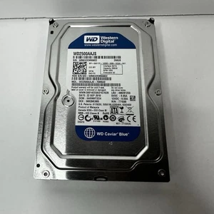 Disque dur Western Digital 250 Go 3,5" WD2500AAJS BLEU CAVIAR 7200 tr/min SATA II - Photo 1/2