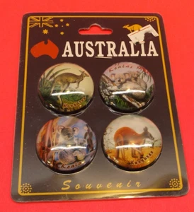 Australia Wildlife Fridge Magnets 4 New in Package Koalas / Kangaroos - Picture 1 of 1