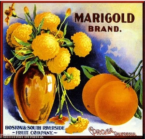 Corona Riverside County Caléndula Flores Naranja Cítricos Caja de Frutas Estampado en Etiqueta - Imagen 1 de 1