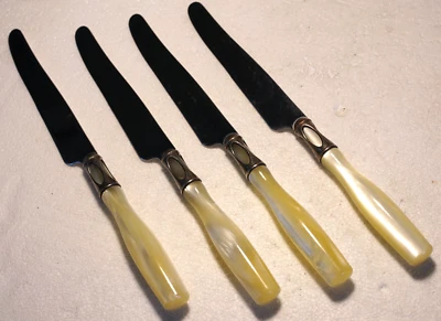 布加迪适用于 Vietri 餐具珍珠象牙丙烯酸手柄 4 刀 — 第 1/4 张图片