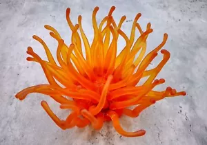 Orange FAUX Anemone (1 FAKE Anemone approx. 6Wx3Dx6T inches) - Picture 1 of 10