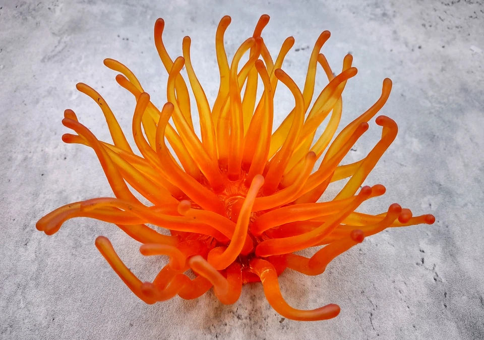 SEA SHELL EMPORIUM Orange FAUX Anemone (1 FAKE Anemone approx. 6Wx3Dx6T inches)
