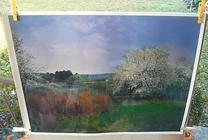 HERMOSA IMAGEN FOTO PAISAJE EN KODAK PROFESIONAL DIGITAL 20" X 27" - Imagen 1 de 6