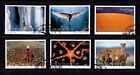 United Nations 2005 Nature's Wisdom Set of 6 Used - All 3 Offices