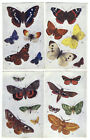 x5 different TUCK'S BUTTERFLIES  AND MOTHS SERIES coloured postcards